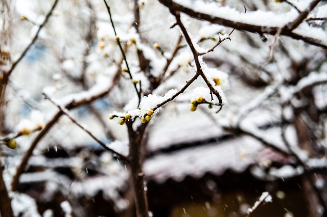 战术特点